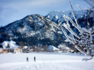 Magic Experiments - Cross Country Skiing